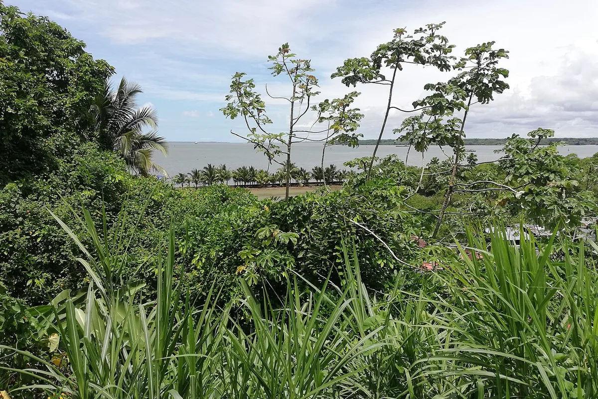 Mudanzas Cartagena a Buenaventura